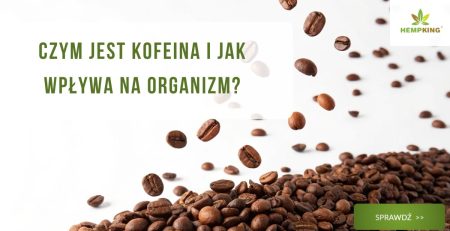 Czym jest kofeina i jak wpływa na organizm? - obrazek wyróżniający