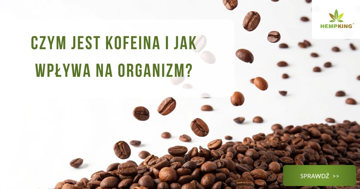 Czym jest kofeina i jak wpływa na organizm? - obrazek wyróżniający