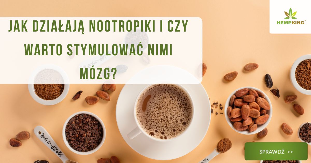 Jak działają nootropiki i czy warto stymulować nimi mózg? - obrazek wyróżniający