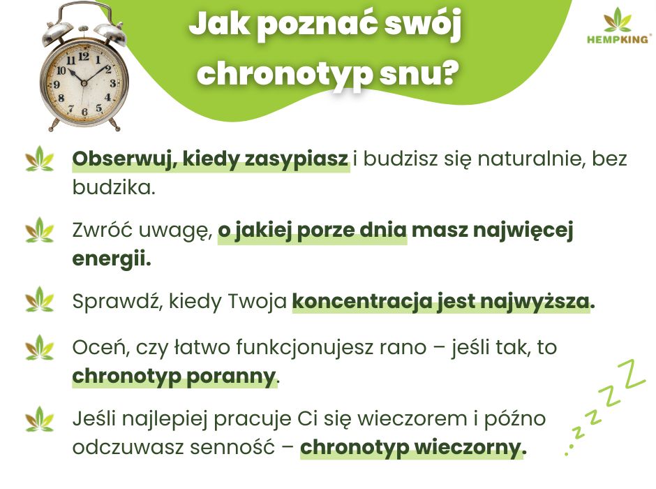 Jak rozpoznać chronotyp snu - infografika