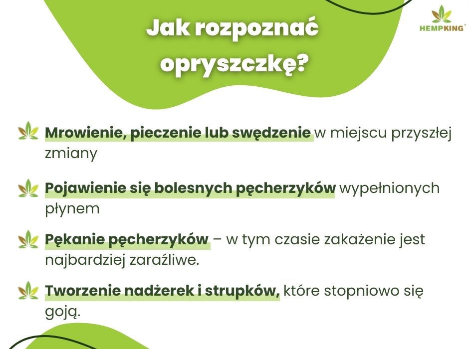 Jak rozpoznać opryszczkę - infografika