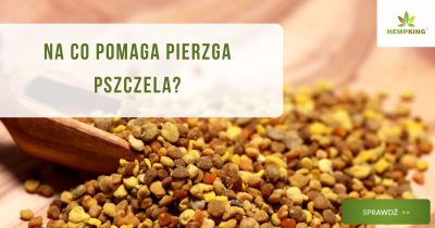 Na co pomaga pierzga pszczela? - obrazek wyróżniający
