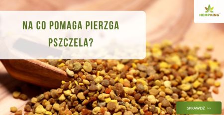 Na co pomaga pierzga pszczela? - obrazek wyróżniający