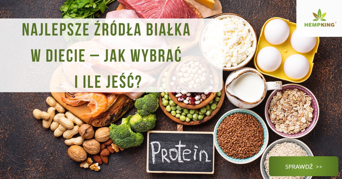 Najlepsze źródła białka w diecie – jak wybrać i ile jeść? - obrazek wyróżniający