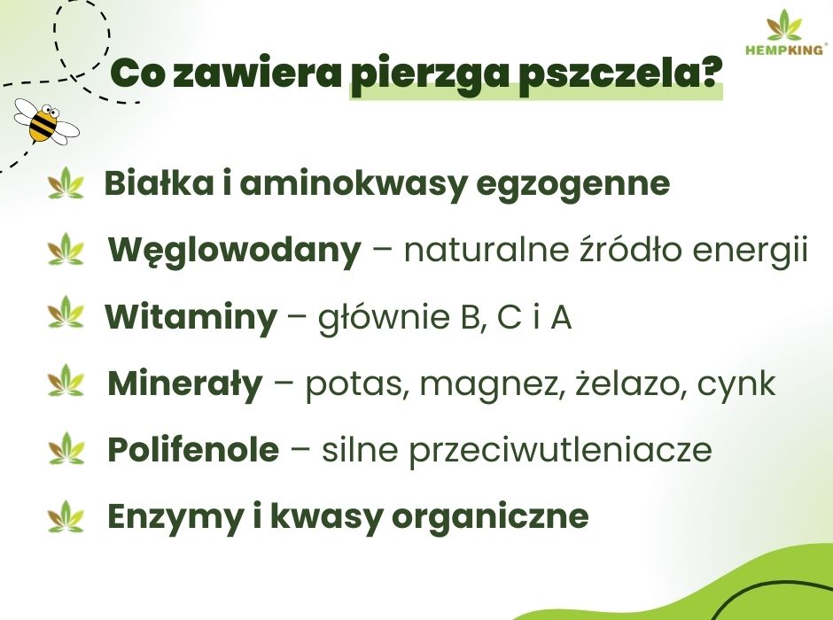 Pierzga pszczela składniki odżywcze - infografika
