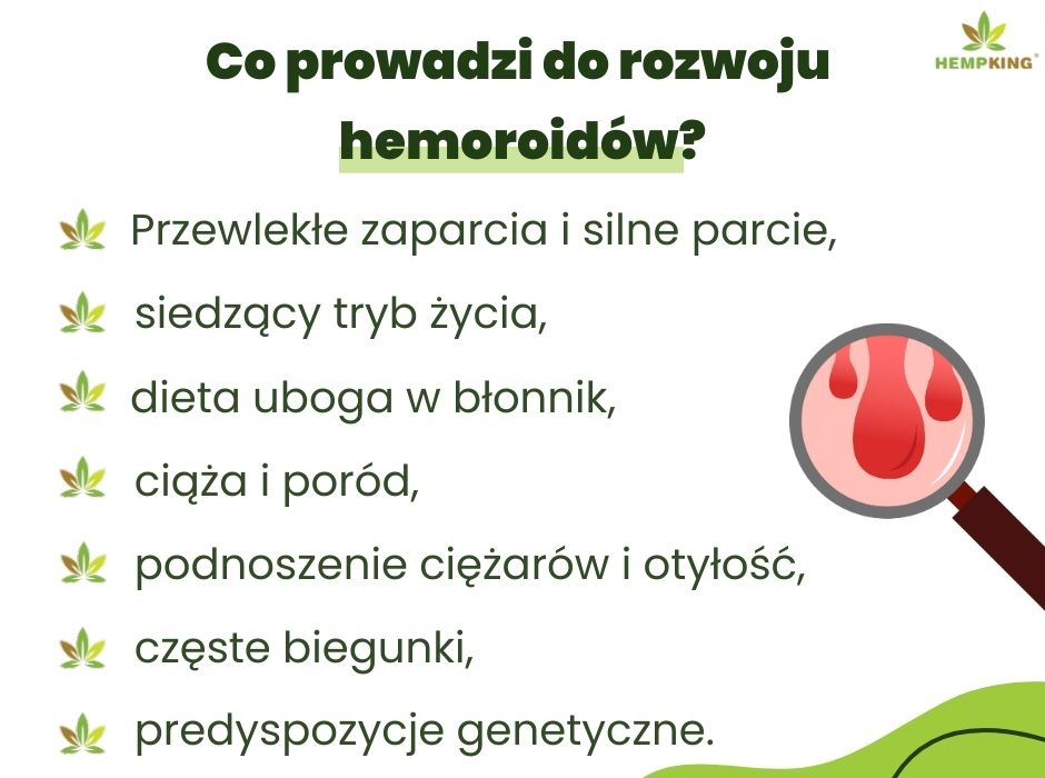 Co prowadzi do rozwoju
hemoroidów? - infografika