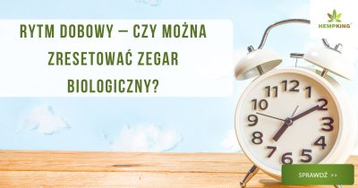 Rytm dobowy – czy można zresetować zegar biologiczny? - obrazek wyróżniający