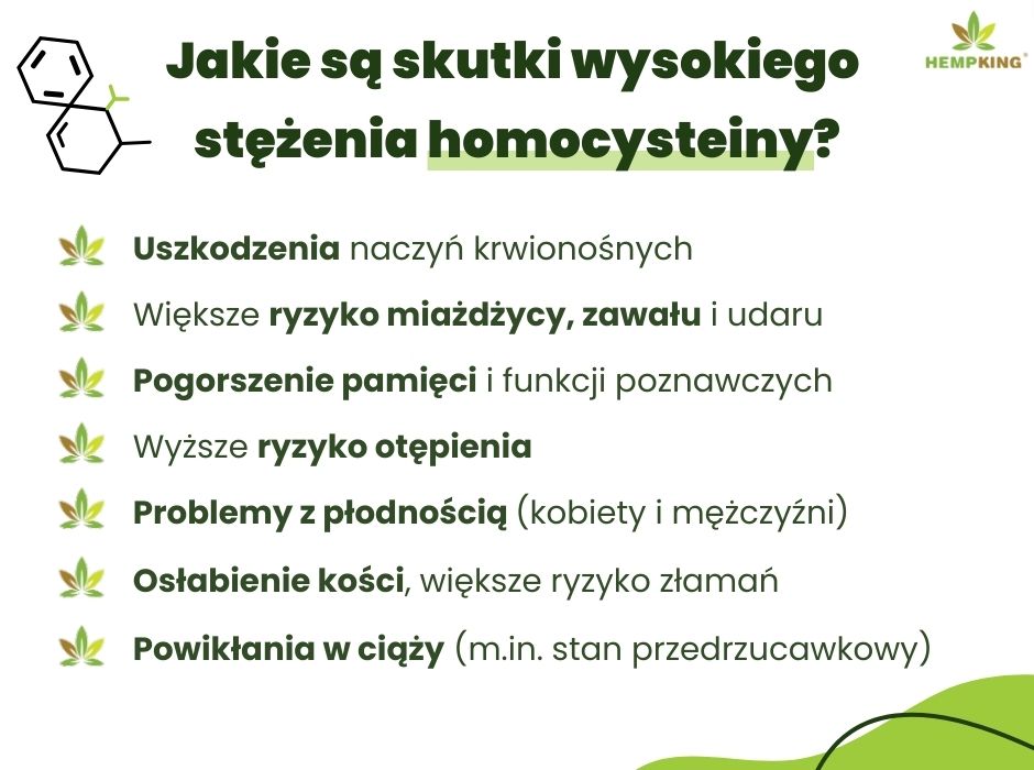 Jakie są skutki wysokiego
stężenia homocysteiny? - infografika