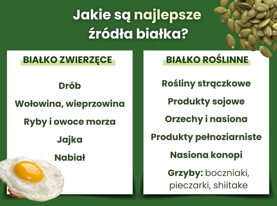 Źródła białka - infografika