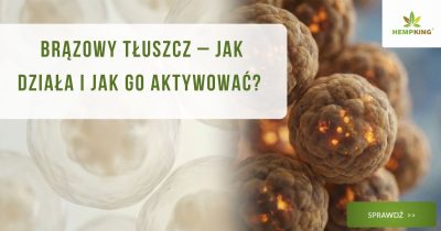 Brązowy tłuszcz – jak działa i jak go aktywować? - obrazek wyróżniający