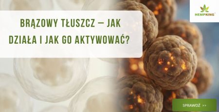 Brązowy tłuszcz – jak działa i jak go aktywować? - obrazek wyróżniający