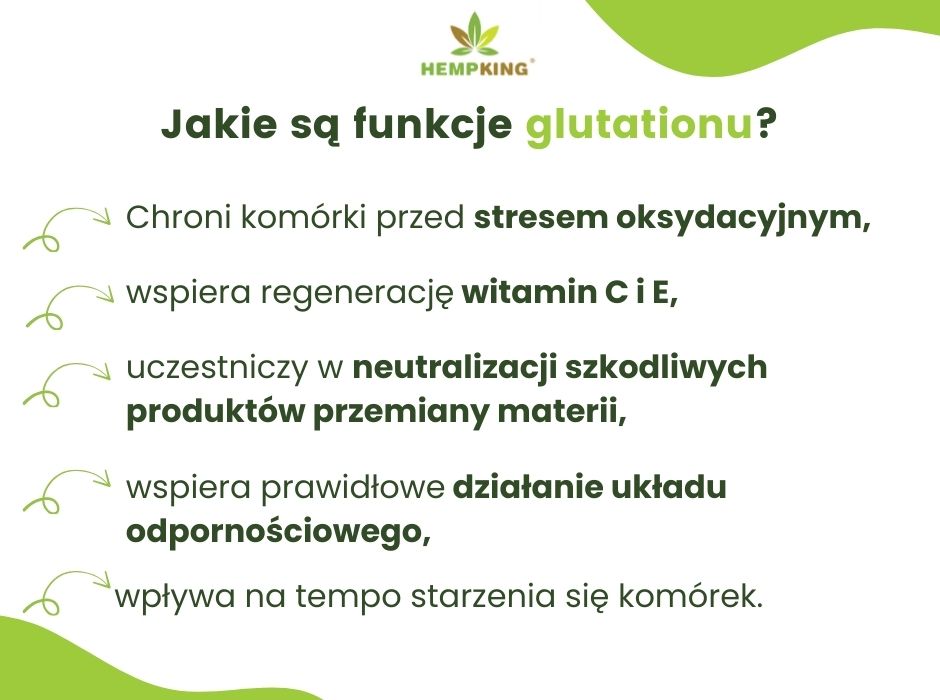 Funkcje glutationu - infografika