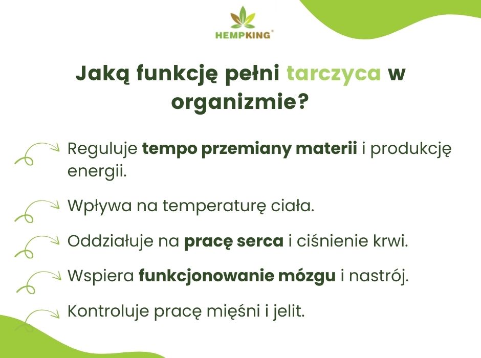 Funkcje tarczycy - infografika
