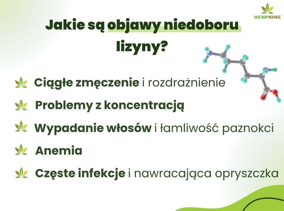 Objawy niedoboru lizyny - infografika