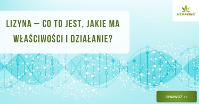 Lizyna - co to jest i jakie ma właściwości? - obrazek wyróżniający