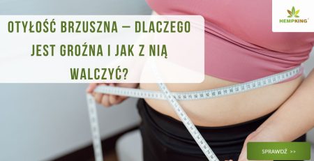 Otyłość brzuszna – dlaczego jest groźna i jak z nią walczyć? - obrazek wyróżniający