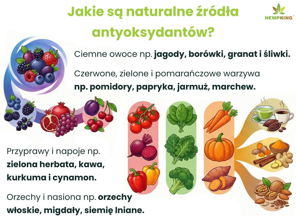 Źródła antyoksydantów - infografika