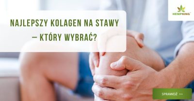 Najlepszy kolagen na stawy – który wybrać? - obrazek wyróżniający