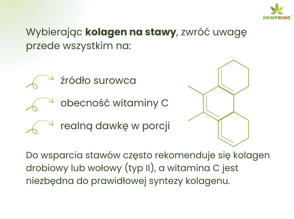 Kolagen na stawy - infografika