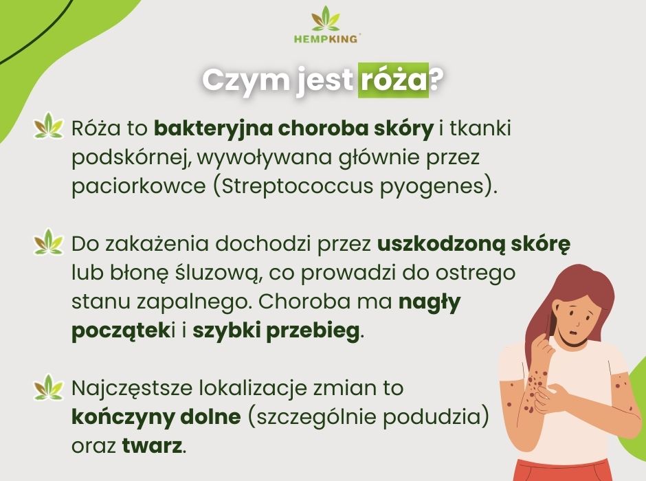 Czym jest róża - infografika