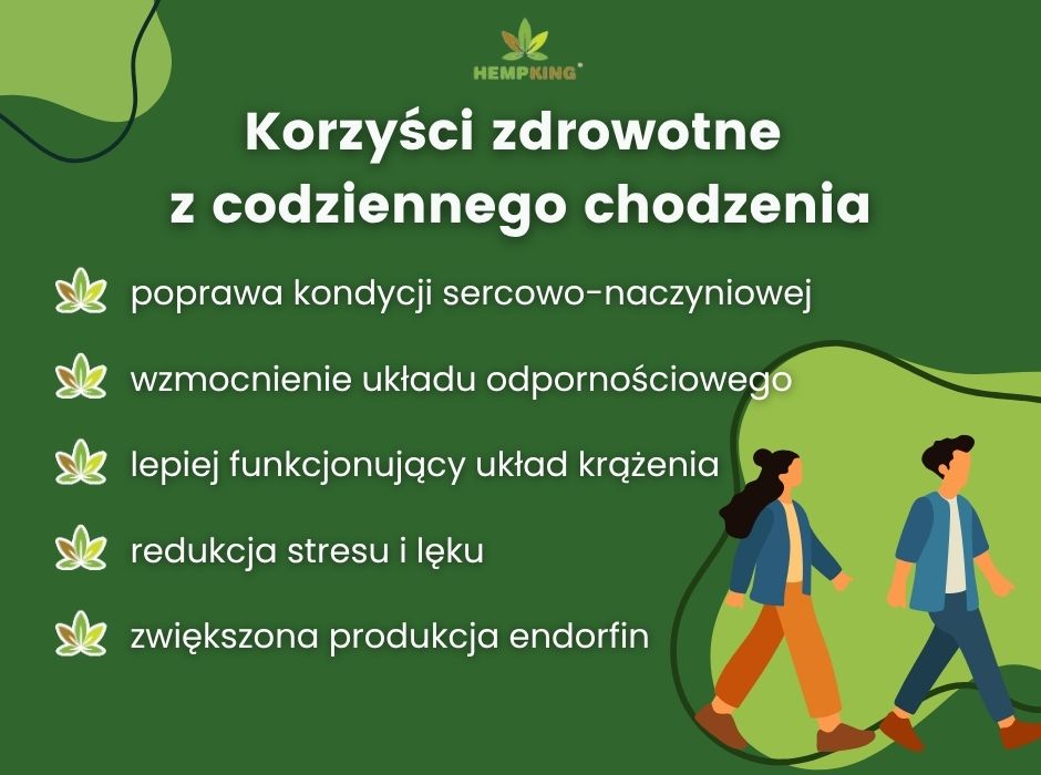 Korzyści zdrowotne z codziennego chodzenia - infografika