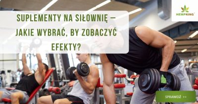 Suplementy na siłownię - jakie wybrać? - obrazek wyróżniający