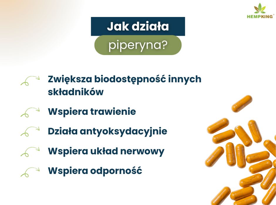 Jak działa piperyna - infografika