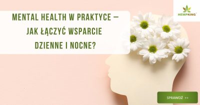 Mental Health w praktyce – jak łączyć wsparcie dzienne i nocne? - obrazek wyróżniający