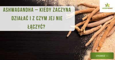 Ashwagandha – kiedy zaczyna działać i z czym jej nie łączyć?  - obrazek wyróżniający