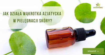 Jak działa wąkrotka azjatycka w pielęgnacji skóry - obrazek wyróżniający