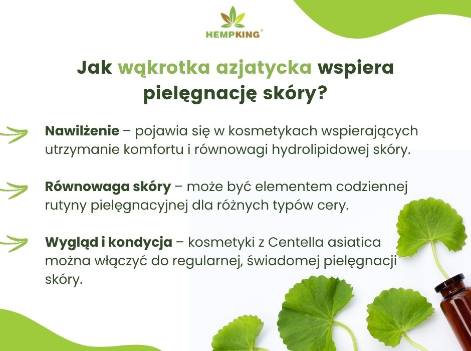 Jak wąkrotka azjatycka wspiera pielęgnację skóry - infografika