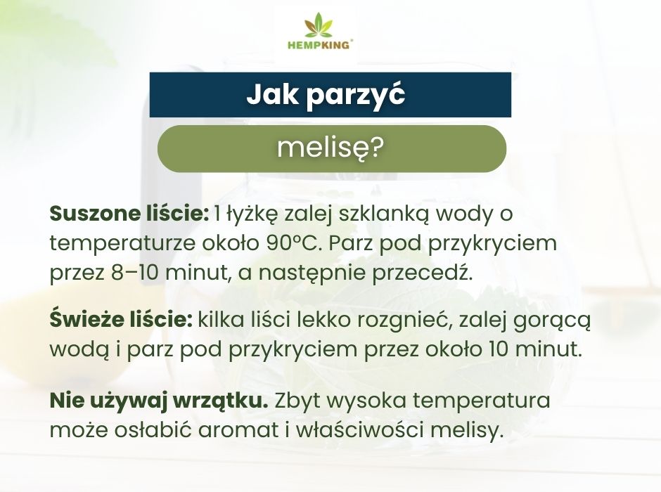Jak parzyć melisę? - infografika