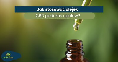 Jak stosować olejek CBD podczas upałów? - obrazek wyróżniający