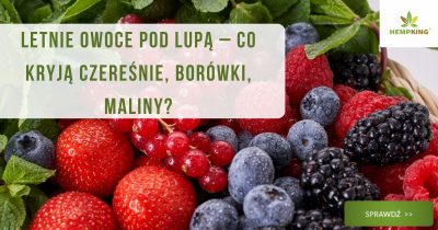 Letnie owoce pod lupą – co kryją czereśnie, borówki, maliny? - obrazek wyróżniający
