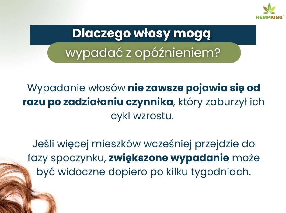 Dlaczego włosy mogą
wypadać z opóźnieniem? - infografika