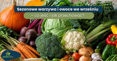 Sezonowe warzywa i owoce we wrześniu – co jeść i jak przechować? - obrazek wyróżniający