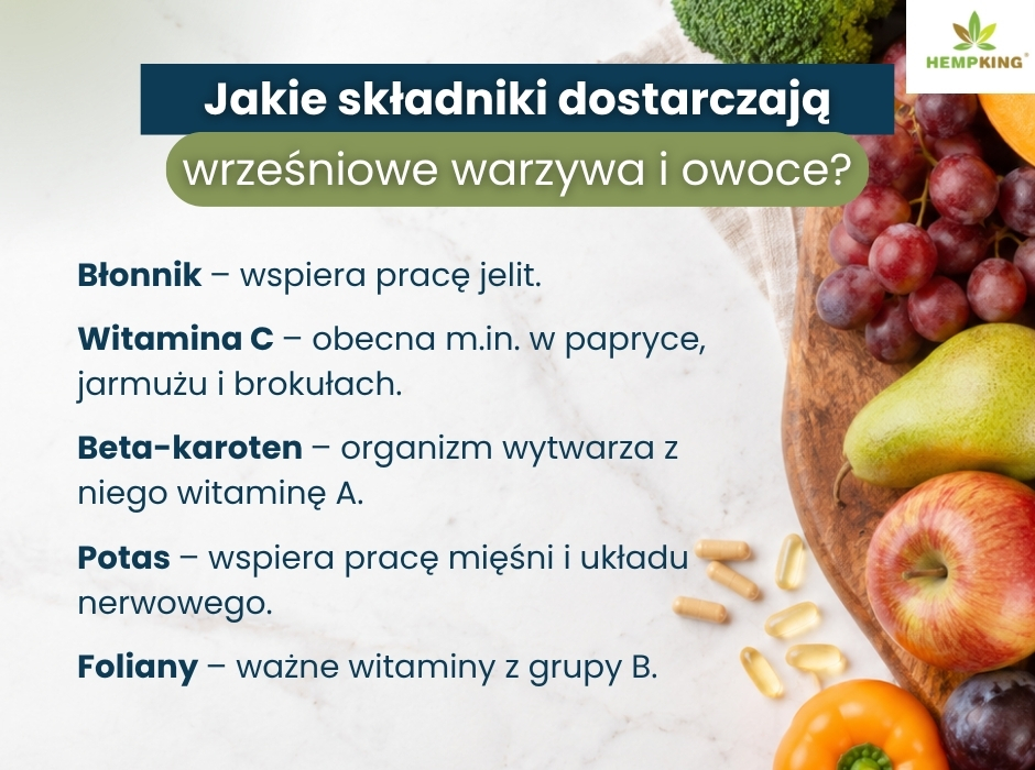 Jakie składniki dostarczają wrześniowe warzywa i owoce? - infografika