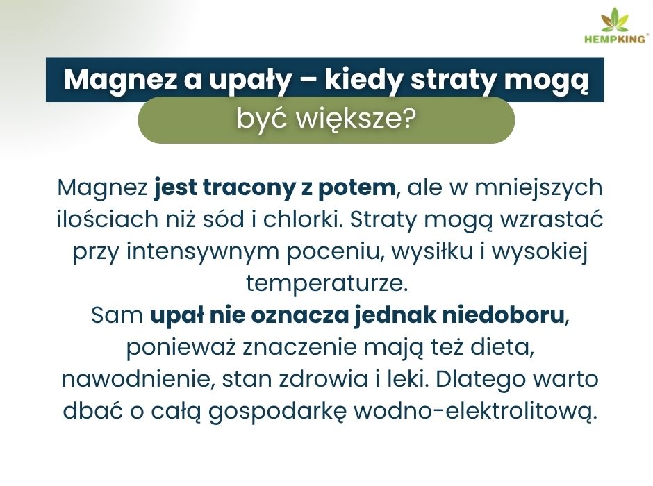Magnez a upały–kiedy straty mogą być większe - infografika