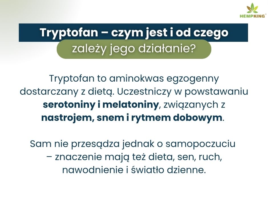 Tryptofan–czym jest i od czego zależy jego działanie - infografika