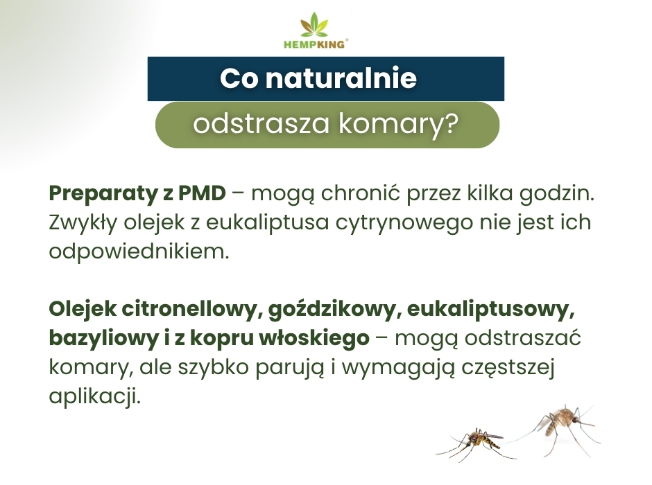 Co naturalnie odstrasza komary? - infografika