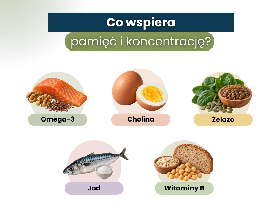 Co wspiera pamięć i koncentrację? - infografika