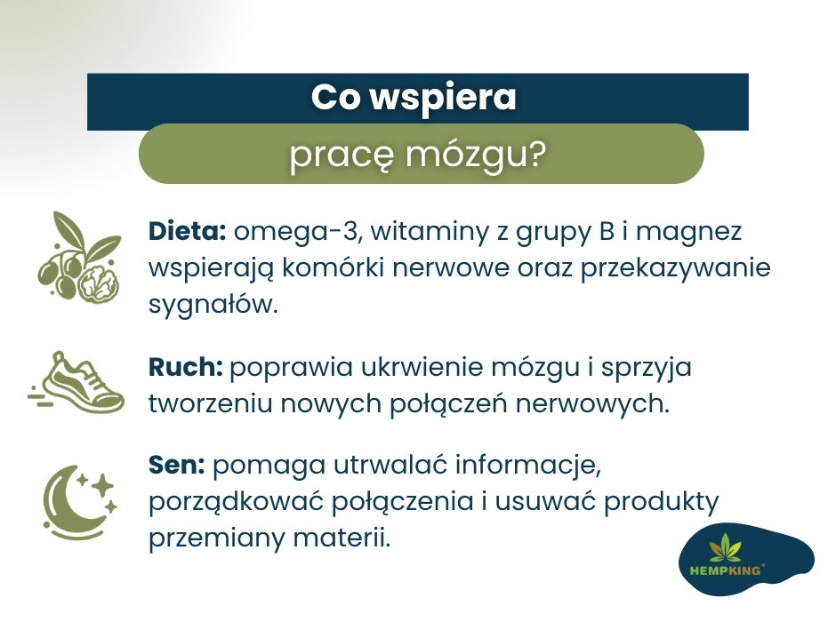 Co wspiera
pracę mózgu? - infografika