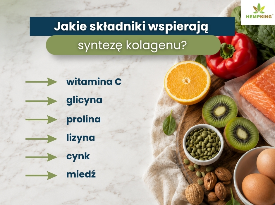 Jakie składniki wspierają
syntezę kolagenu? - infografika