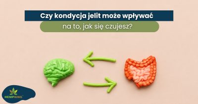 Czy jelita mogą wpływać na samopoczucie? - obrazek wyróżniający