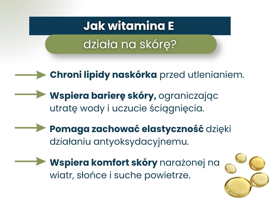 Jak witamina E
działa na skórę? - infografika
