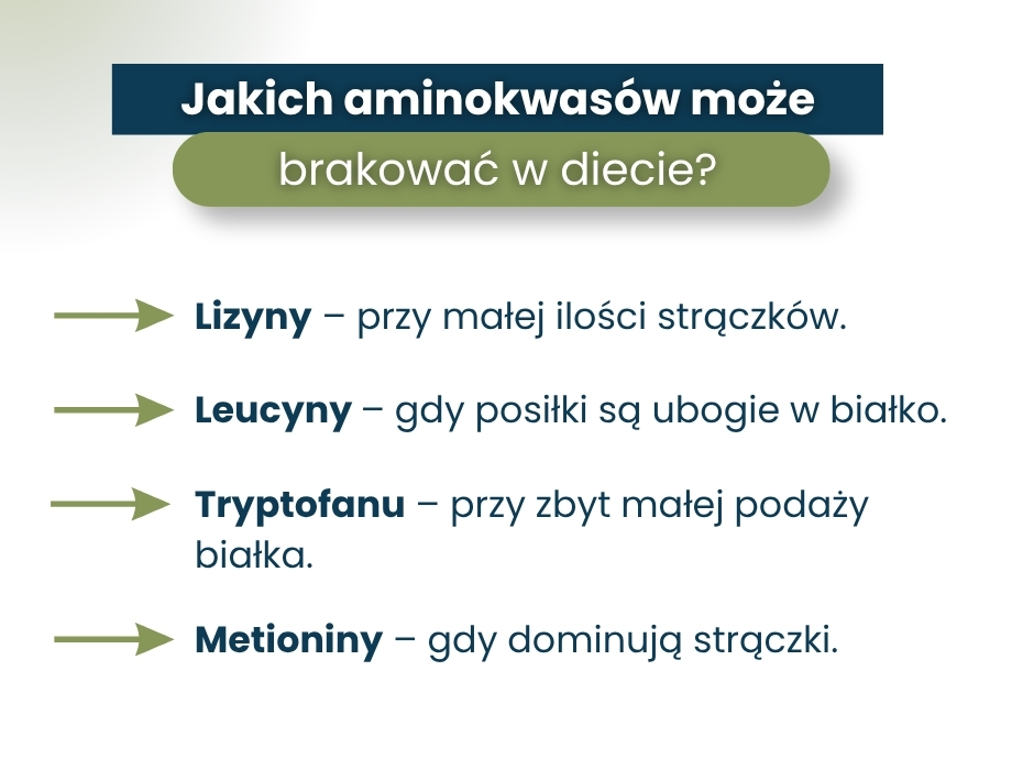Jakich aminokwasów może brakować w diecie? - infografika