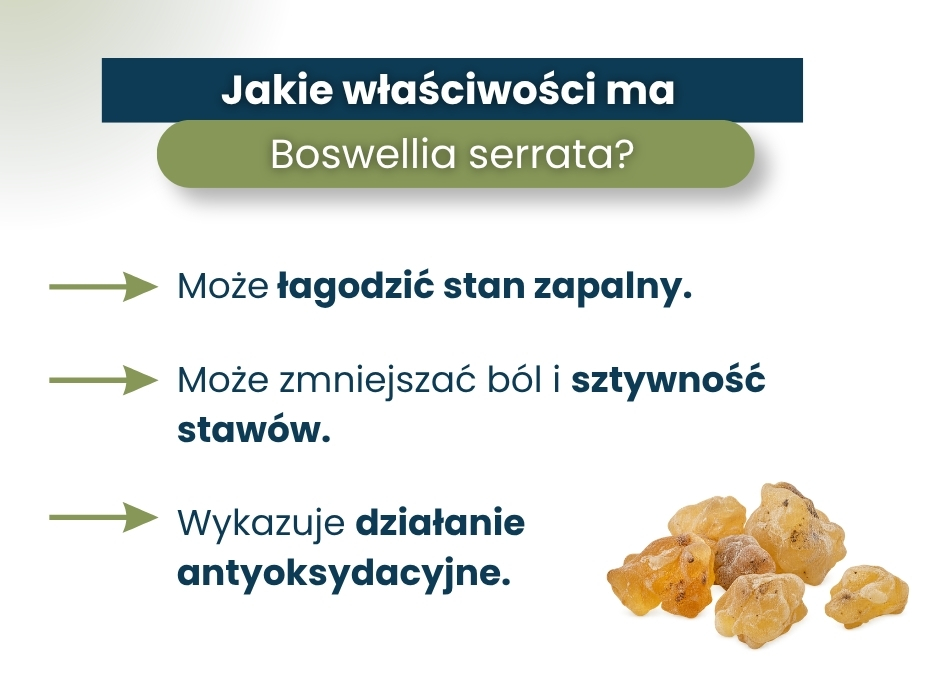 Jakie właściwości ma
Boswellia serrata? - infografika
