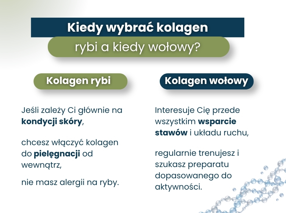Kiedy wybrać kolagen rybi a kiedy wołowy? - infografika