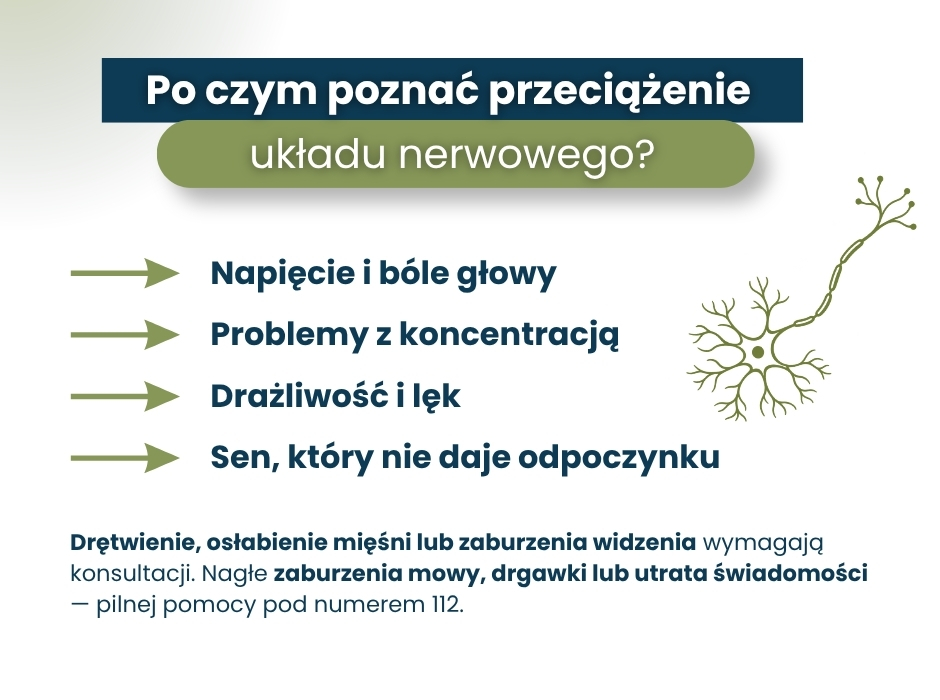 Po czym poznać przeciążenie
układu nerwowego? - infografika