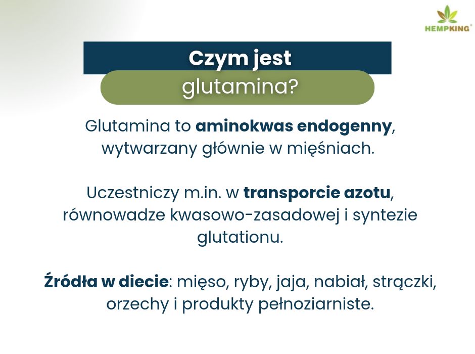 Czym jest glutamina - infografika